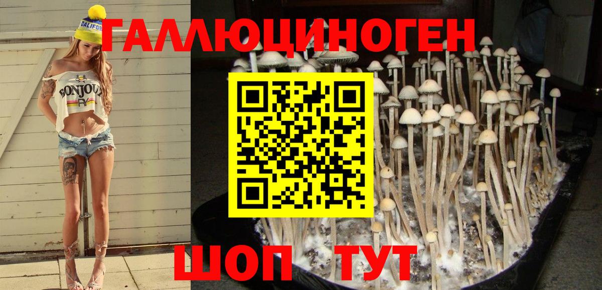 Волгоград  Галлюциногенные грибы Psilocybe  Вход с VPN 